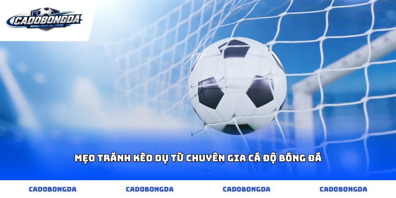 Mẹo tránh kèo dụ từ chuyên gia cá độ bóng đá