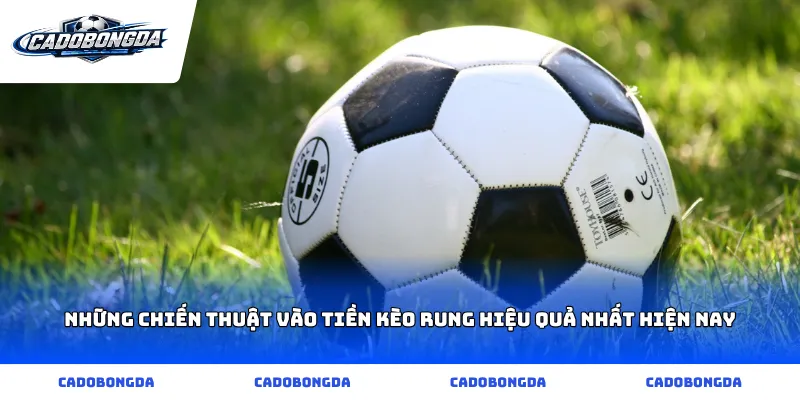 Những chiến thuật vào tiền kèo rung hiệu quả nhất hiện nay