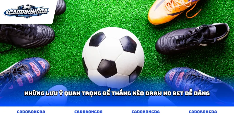 Những lưu ý quan trọng để thắng kèo draw no bet dễ dàng