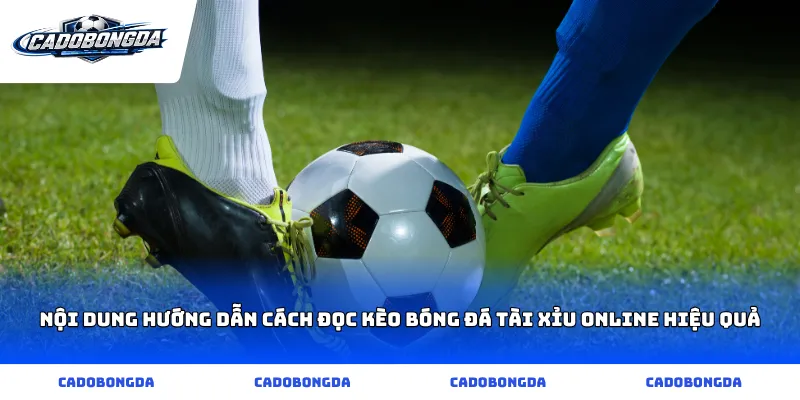 Nội dung hướng dẫn cách đọc kèo bóng đá Tài Xỉu online hiệu quả