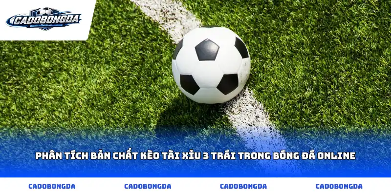 Phân tích bản chất kèo tài xỉu 3 trái trong bóng đá online