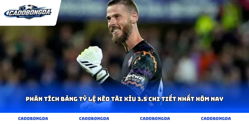 Phân tích bảng tỷ lệ kèo tài xỉu 3.5 chi tiết nhất hôm nay