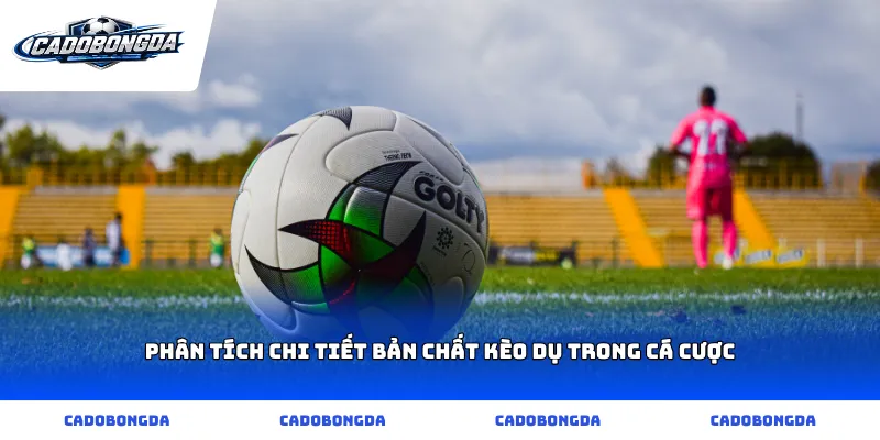 Phân tích chi tiết bản chất kèo dụ trong cá cược