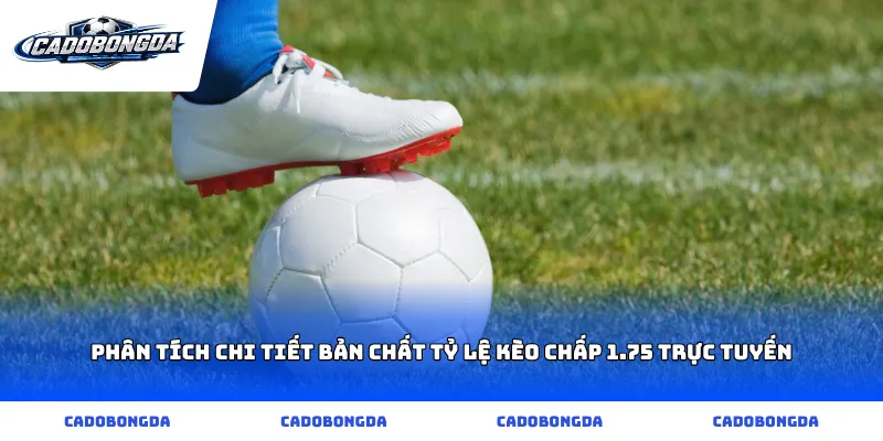 Phân tích chi tiết bản chất tỷ lệ kèo chấp 1.75 trực tuyến