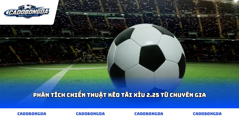 Phân tích chiến thuật kèo tài xỉu 2.25 từ chuyên gia