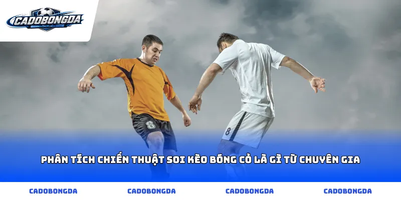 Phân tích chiến thuật soi kèo bóng cỏ là gì từ chuyên gia