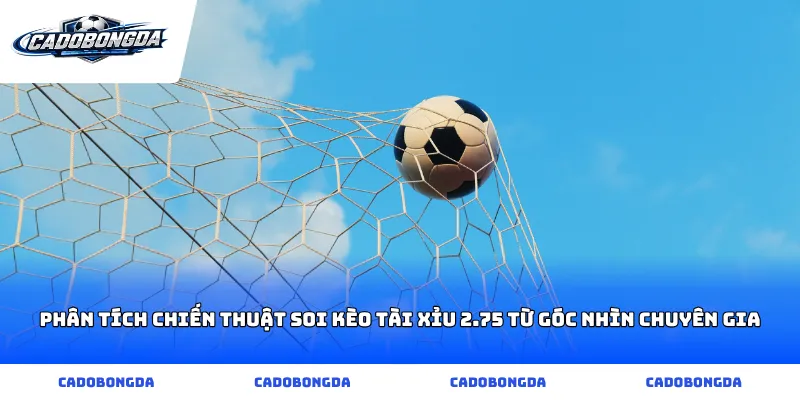 Phân tích chiến thuật soi kèo tài xỉu 2.75 từ góc nhìn chuyên gia
