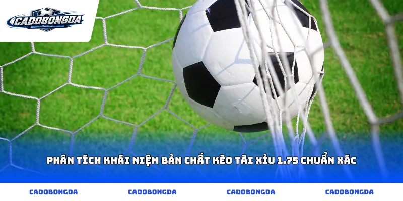 Phân tích khái niệm bản chất kèo tài xỉu 1.75 chuẩn xác