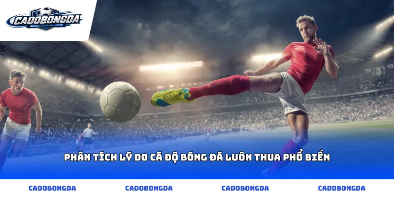 Phân tích lý do cá độ bóng đá luôn thua phổ biến