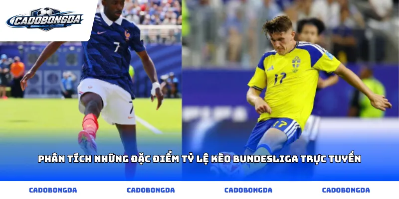 Phân tích những đặc điểm Tỷ lệ kèo Bundesliga trực tuyến