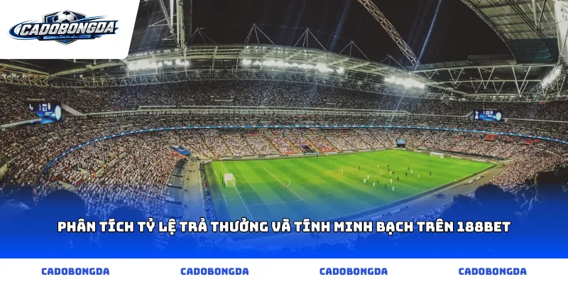 Phân tích tỷ lệ trả thưởng và tính minh bạch trên 188bet