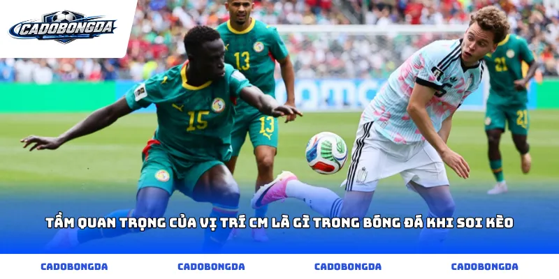 Tầm quan trọng của vị trí cm là gì trong bóng đá khi soi kèo