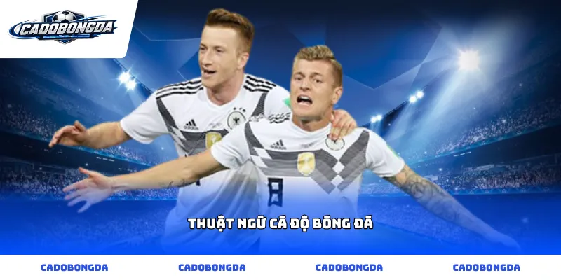 Thuật ngữ cá độ bóng đá