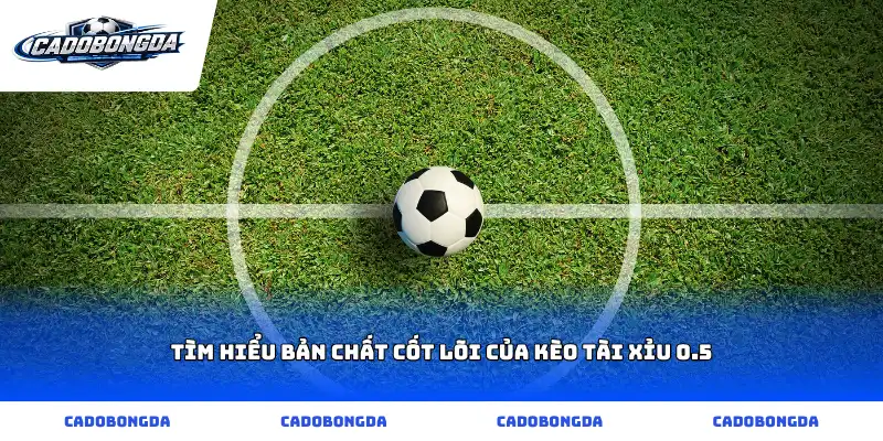 Tìm hiểu bản chất cốt lõi của kèo tài xỉu 0.5