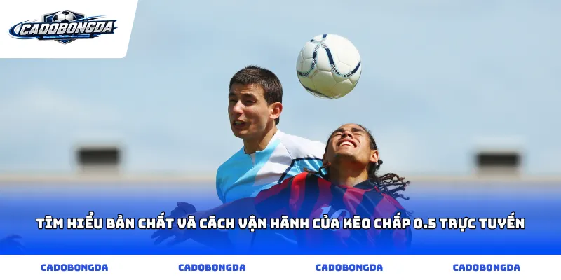 Tìm hiểu bản chất và cách vận hành của kèo chấp 0.5 trực tuyến