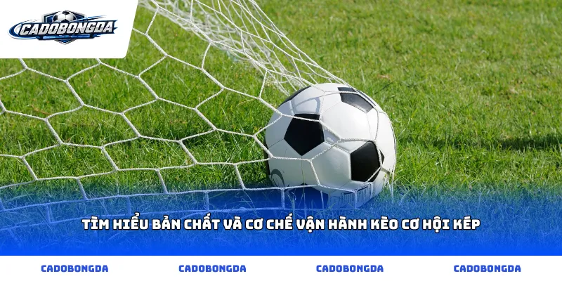 Tìm hiểu bản chất và cơ chế vận hành kèo cơ hội kép