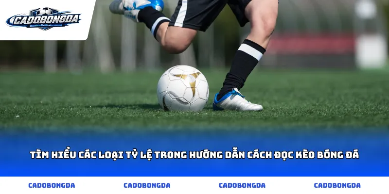 Tìm hiểu các loại tỷ lệ trong hướng dẫn cách đọc kèo bóng đá
