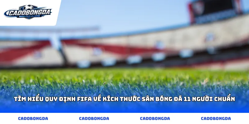 Tìm hiểu quy định FIFA về kích thước sân bóng đá 11 người chuẩn