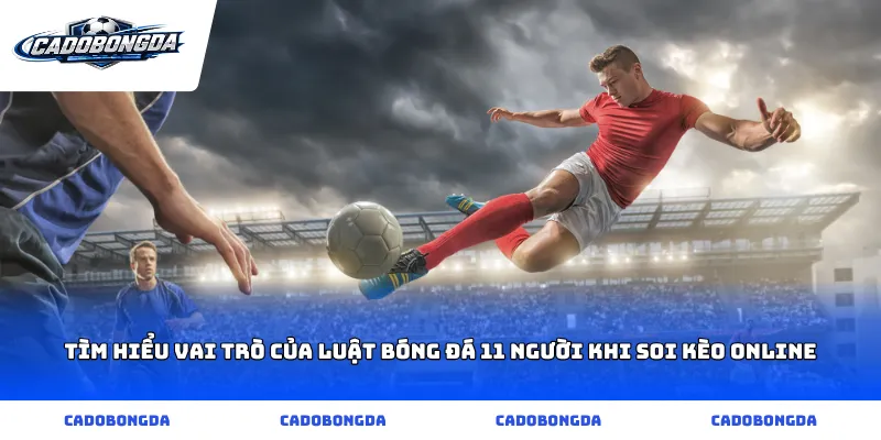 Tìm hiểu vai trò của luật bóng đá 11 người khi soi kèo online