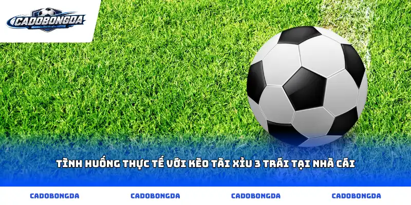 Tình huống thực tế với kèo tài xỉu 3 trái tại nhà cái