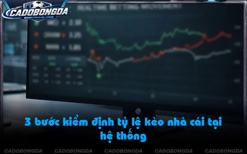 Quy trình 3 lớp xử lý tỷ lệ kèo của CEO Jam Pham - Trang cá độ bóng đá