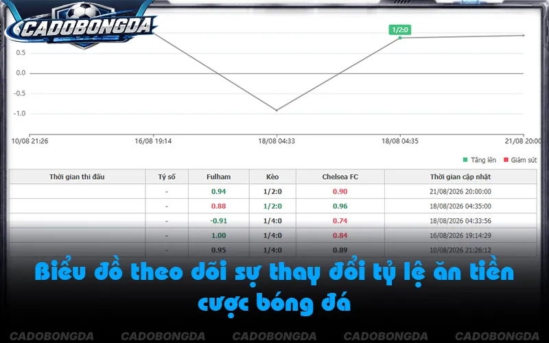 Cảnh báo biến động odds trên blog hướng dẫn soi kèo