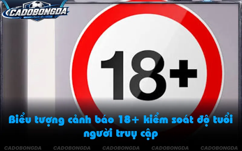 Hệ thống áp dụng quy định giới hạn độ tuổi từ 18 trở lên