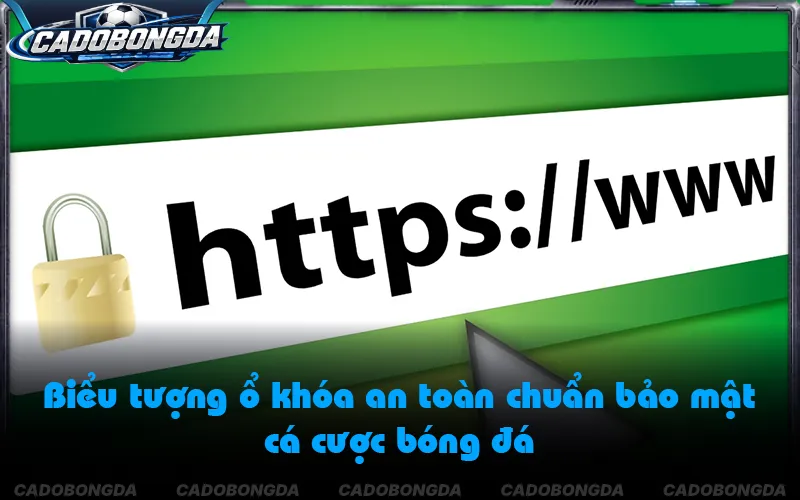 Kiểm tra giao thức HTTPS và ổ khóa SSL trên thanh địa chỉ