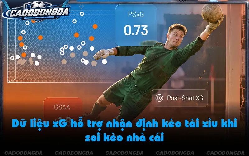 Phân tích xG và khả năng tạo cơ hội