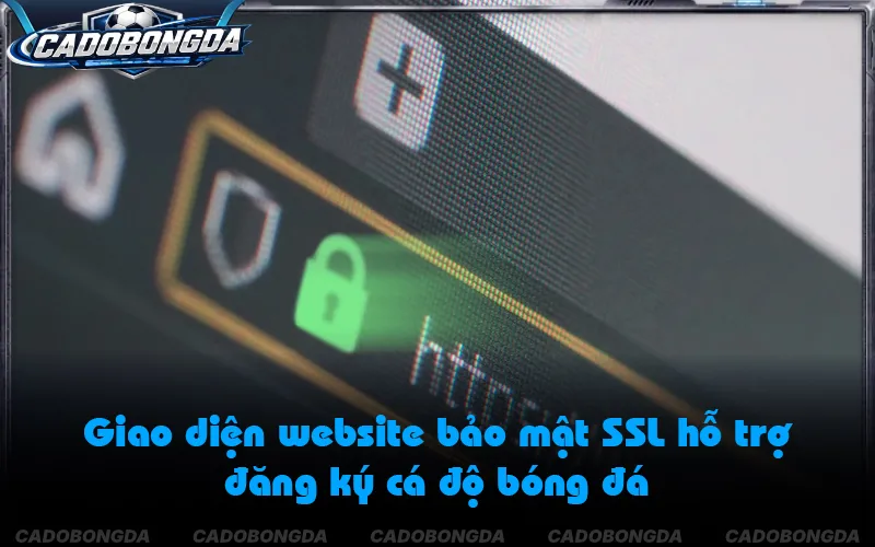 Tiêu chuẩn pháp lý và bảo mật khi đăng ký cá độ bóng đá