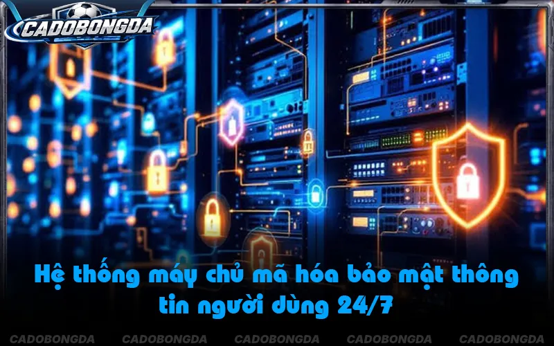 Dữ liệu thể thao đồng bộ tự động qua API quốc tế chuẩn xác