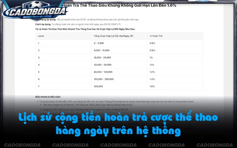 Chương trình cá độ bóng đá khuyến mãi hoàn trả có vòng cược thấp