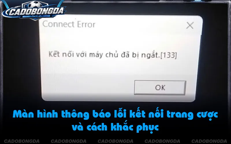 Xử lý sự cố khi đăng nhập cá độ bóng đá bị báo lỗi kết nối