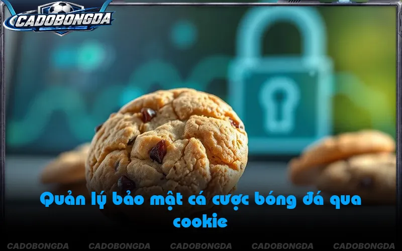 Cơ chế lưu trữ cookie tự động giúp tối ưu tốc độ tải trang