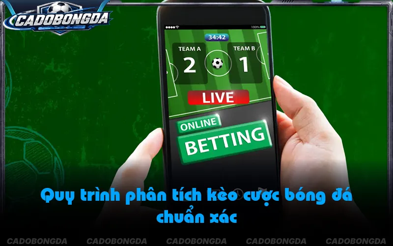 Các bước tra cứu dữ liệu trước khi đặt cược