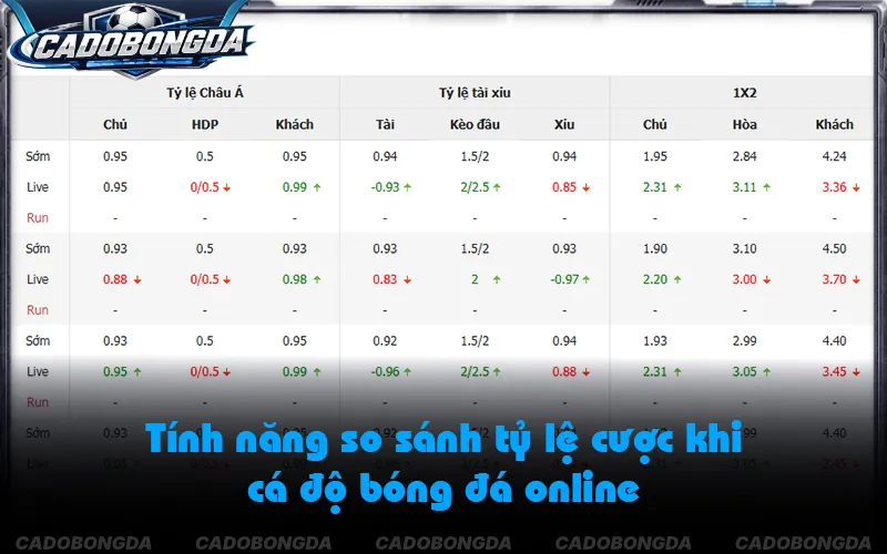 Thống kê biến động tỷ lệ kèo cá độ bóng đá onlin