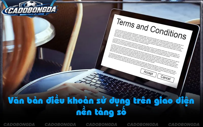 Nền tảng giữ quyền cập nhật định kỳ điều khoản sử dụng